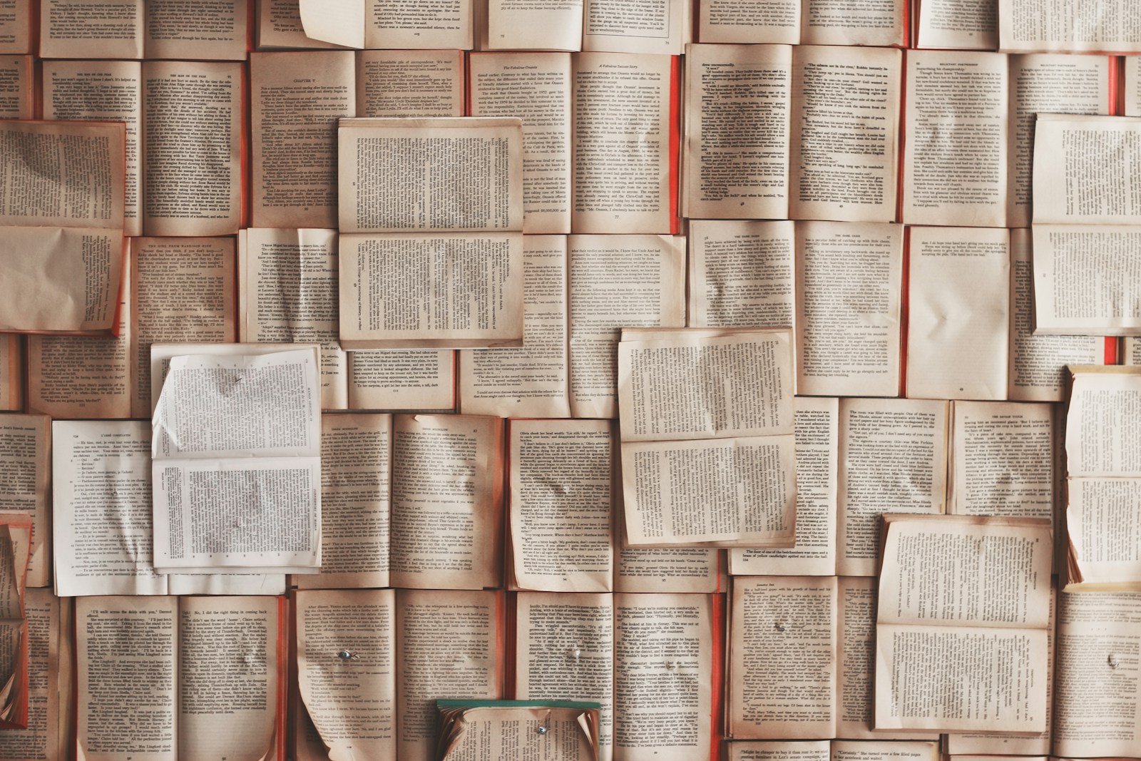 open book lot Book Editor